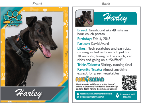 F0731 2025-QR-DogCards-PawSquad-Harley_R1_12-11-25